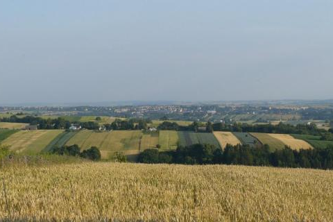 Widnica - gm. Miechów