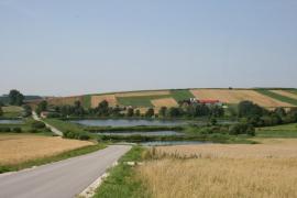 Stawy w Słupowie - gm. Słaboszów