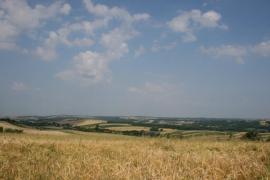 Grzymałów - gm. Słaboszów