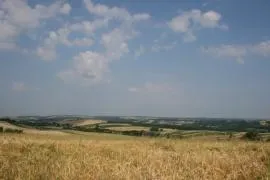 Grzymał&oacute;w - gm. Słabosz&oacute;w
