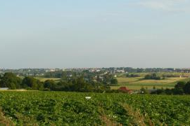 Siedliska - gm. Miechów