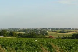 Siedliska - gm. Miech&oacute;w
