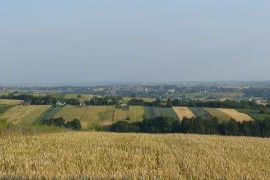 Widnica - gm. Miech&oacute;w