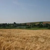 Gmina Słabosz&oacute;w