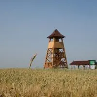 Gmina Racławice