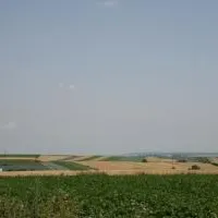Gmina Gołcza