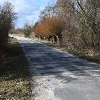 Powiat Miechowski otrzymał 2 706 426 zł z Rządowego Funduszu Rozwoju Dr&oacute;g na przebudowę drogi w Rogowie