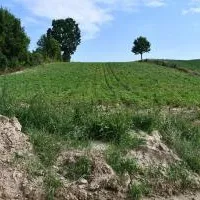Niewłaściwe gospodarowanie p&oacute;l jedną z gł&oacute;wnych przyczyn namulisk na drogach - pole w Falniowie