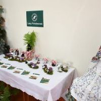 Dary lasu prezentowane w Gminnej Bibliotece Publicznej w Kozłowie