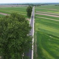 Droga powiatowa od Kępia przez las do Przysieki