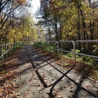 Trasa rowerowa szlakiem wąskotor&oacute;wki (4)