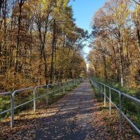Trasa rowerowa szlakiem wąskotor&oacute;wki (5)
