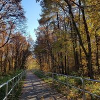 Trasa rowerowa szlakiem wąskotor&oacute;wki (6)