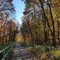 Trasa rowerowa szlakiem wąskotor&oacute;wki (6)