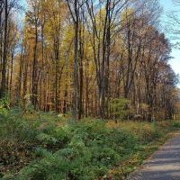 Trasa rowerowa szlakiem wąskotor&oacute;wki (7)