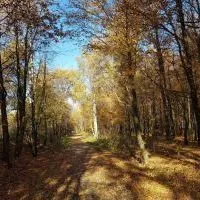 Trasa rowerowa szlakiem wąskotor&oacute;wki (8)