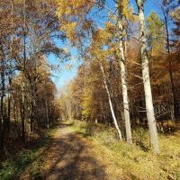 Trasa rowerowa szlakiem wąskotor&oacute;wki (9)