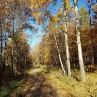 Trasa rowerowa szlakiem wąskotor&oacute;wki (9)