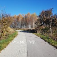 Trasa rowerowa szlakiem wąskotorówki (1)