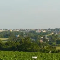 Gmina Miech&oacute;w