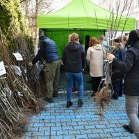 Kampania IV Małopolski Dzień dla Klimatu w Powiecie Miechowskim 