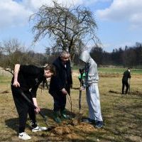 Sadzenie drzew owocowych dzieci z Specjalnego Ośrodka Szkolno Wychowawczego w Zagorzycach