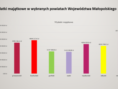 Wydatki majątkowe w wybranych powiatach Województwa Małopolskiego