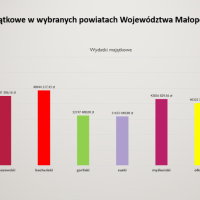 Wydatki majątkowe w wybranych powiatach Wojew&oacute;dztwa Małopolskiego