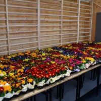 Koncert „Muzyczny Bukiet dla Pań” - kwiaty dla wszystkich Pań