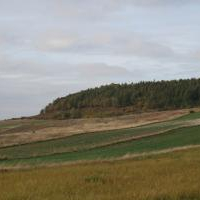 Gmina Kozł&oacute;w
