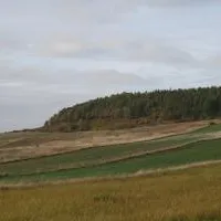 Gmina Kozł&oacute;w