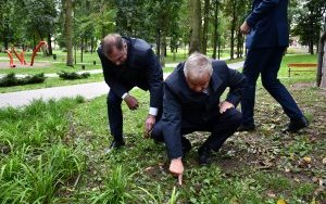 XXIV Pola Nadziei - sadzenie żonkili 