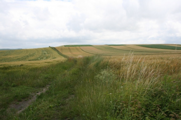 Lustracja gruntów dzierżawnych