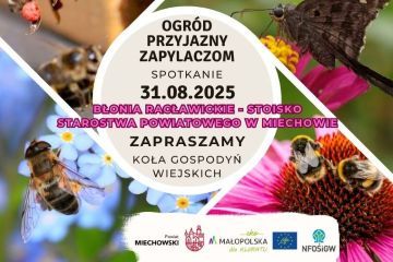 Ogród przyjazny zapylaczom