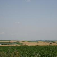 Gmina Gołcza