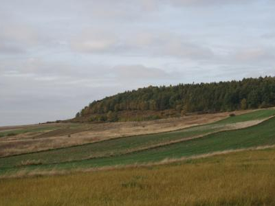 Gmina Kozłów